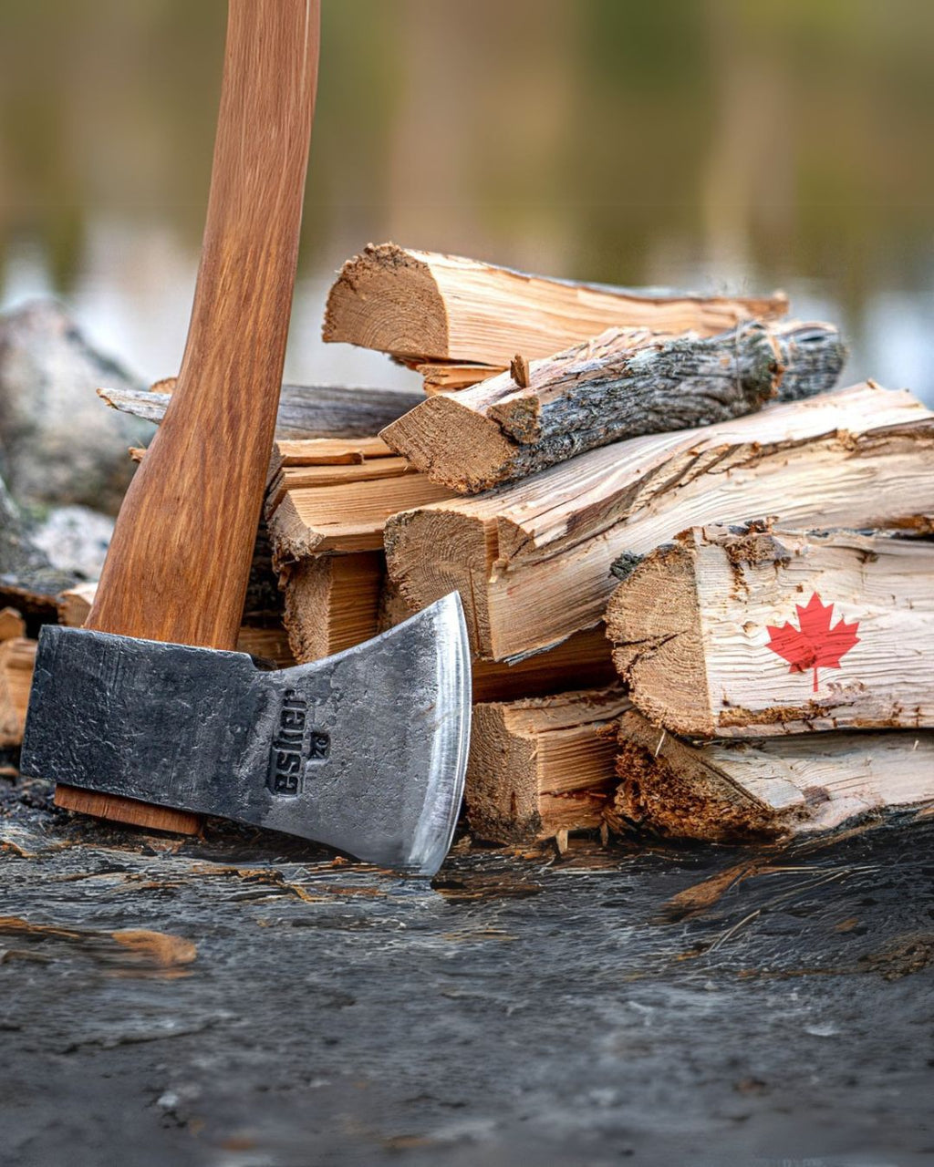 From Trailblazers to Traditions: The Role of Axes and Saws in Canada's Story