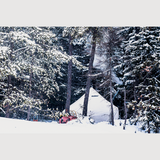 Esker Classic 2 10x10 Winter Hot Tent