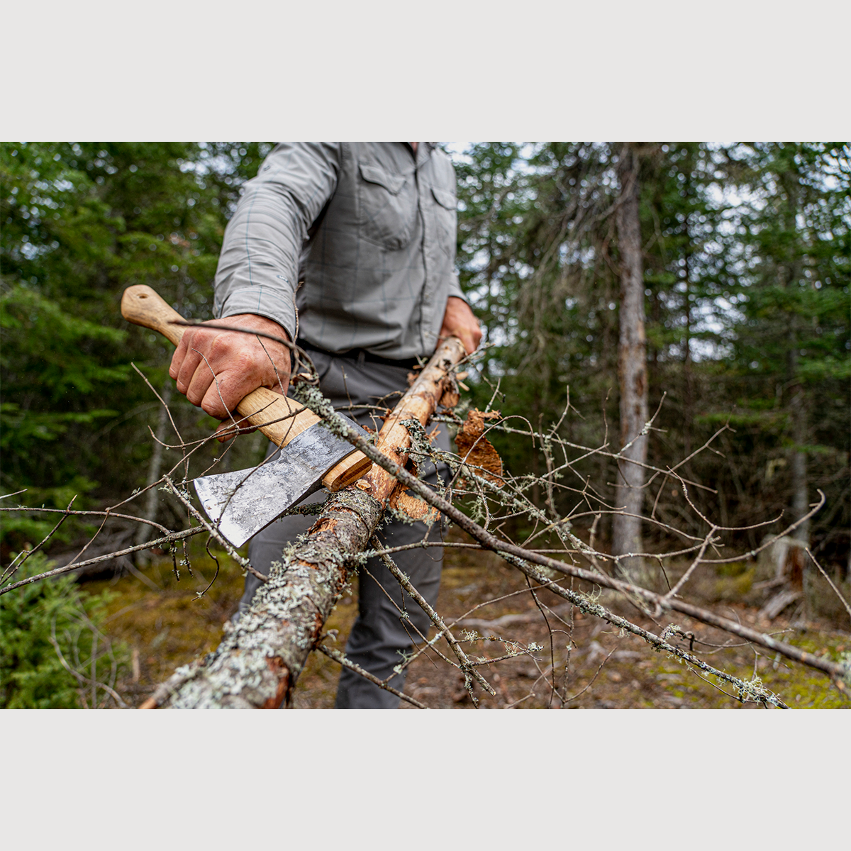 person using an esker hatchet to take small branches off a small dead tree