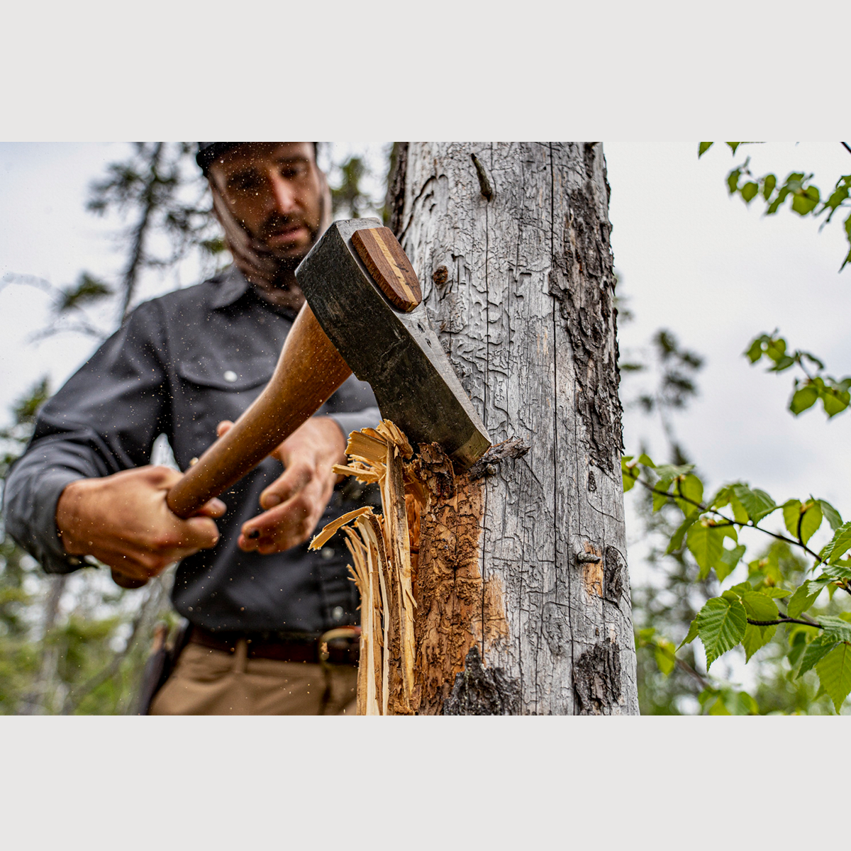 Person using an esker camp axe to chop a tree in a forest 