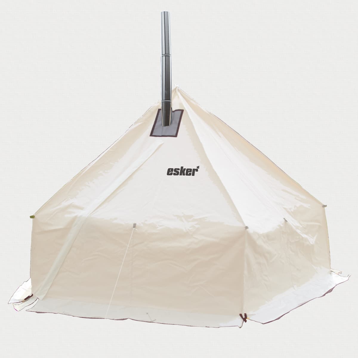 esker arctic fox 10x10 on a beige background